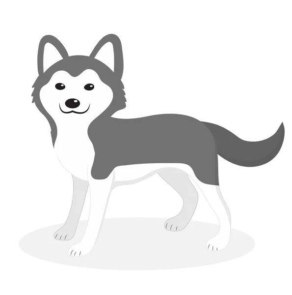 Husky rasy ikona psa, płaski, kreskówkowy styl. Cute szczeniak izolowany na białym tle. Ilustracja wektora, clip-art. — Wektor stockowy