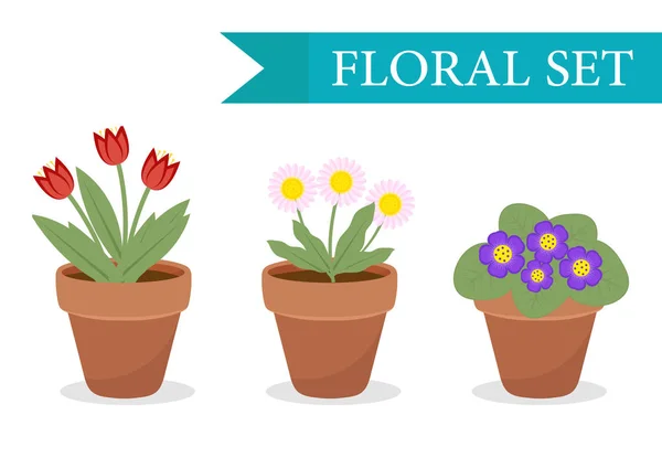 Virágcserép különböző virágokkal, lapos stílusban. Flowerpot Collection elszigetelt fehér háttérrel. Vektor illusztráció, clip art. — Stock Vector