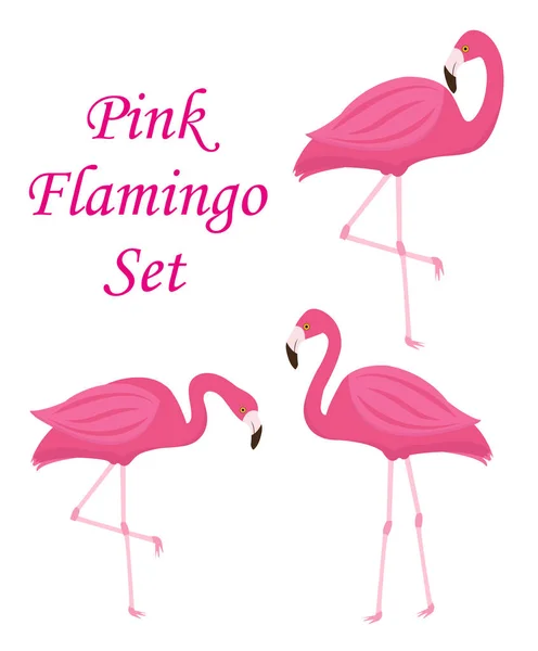 Pink flamingo sæt af objekter. Isoleret på hvid baggrund. Vektorillustration. – Stock-vektor