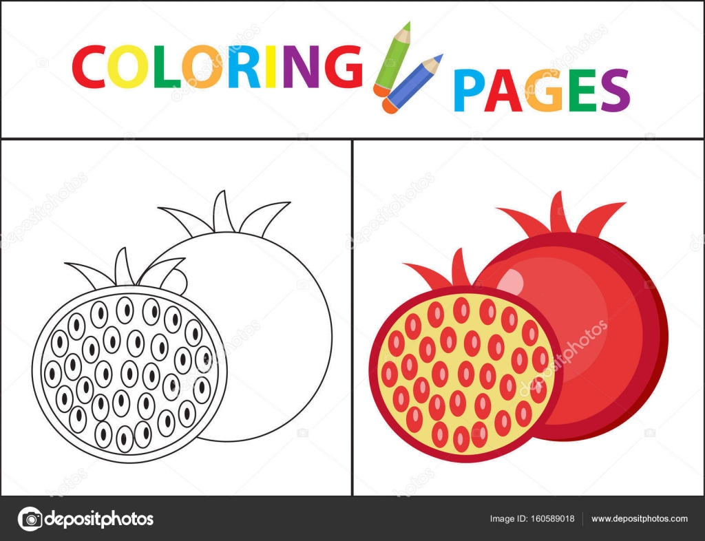 Download Coloring Book Page Sketch Outline And Color Version Coloring For Kids Childrens Education Vector Illustration Stock Vector Image By C Amelie1 160589018