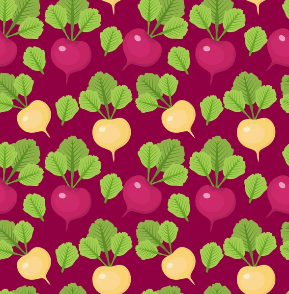 Modèle sans couture radis. Radis rouges et blancs fond sans fin, texture. Fond de légumes. Illustration vectorielle . — Image vectorielle