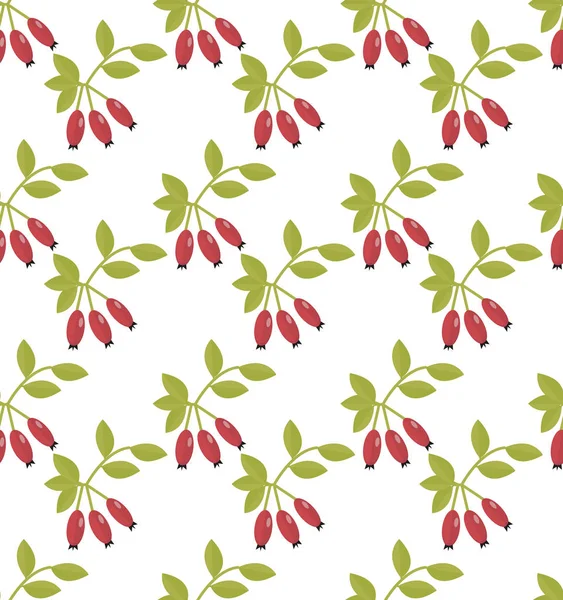 Dzikiej róży wzór. Hawthorn niekończące się tła. Czerwone jagody jesienią, powtarzając tekstury. Ilustracja wektorowa. — Wektor stockowy