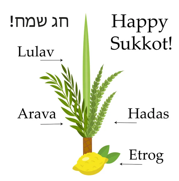Happy sukkot set educational icons, with inscription. Collection objects, elements for Jewish Feast of Tabernacles with etrog, lulav, Arava, Hadas. Isolated on white background. Vector illustration. — Stock Vector