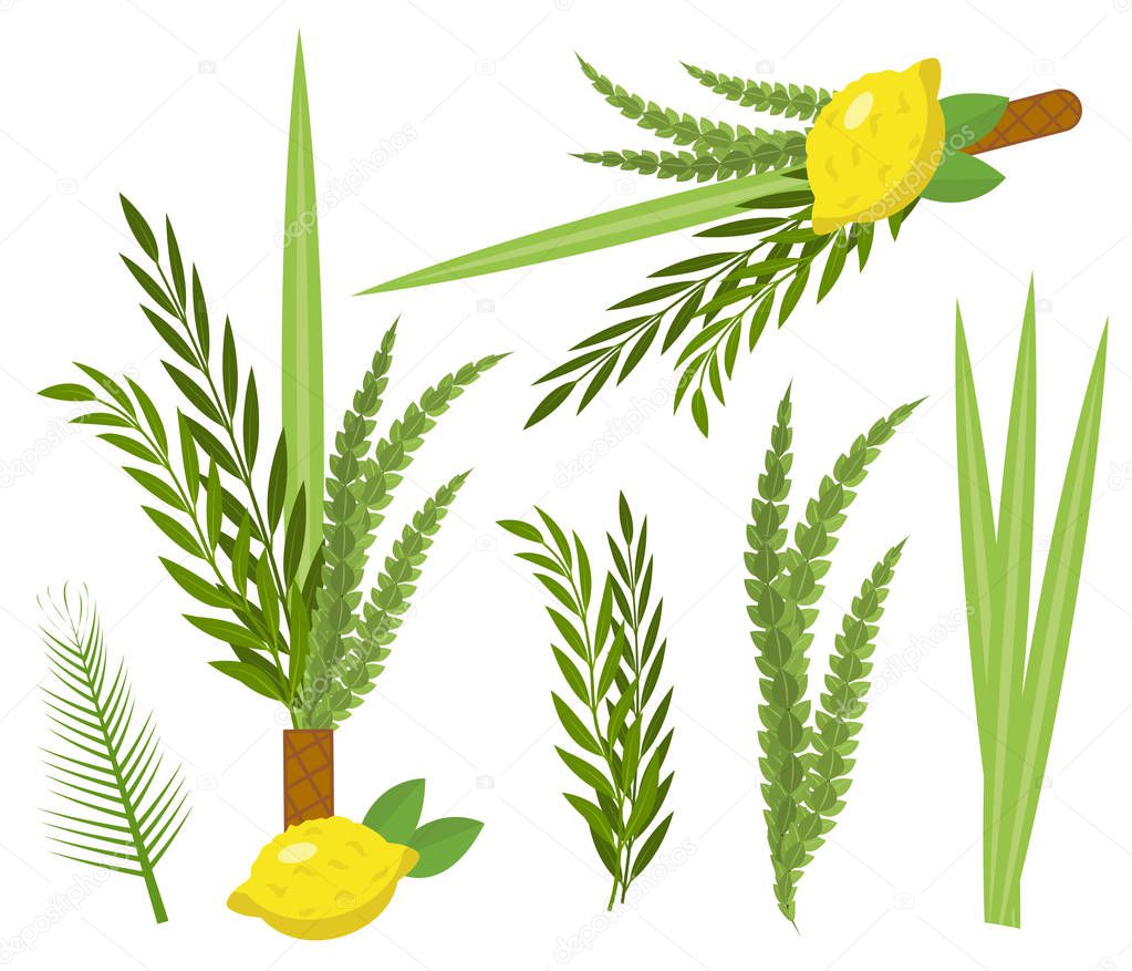Happy Sukkot set. Collection of objects, design elements for Jewish Feast of Tabernacles with etrog, lulav, Arava, Hadas. Isolated on white background. Vector illustration.