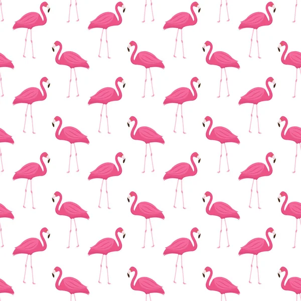 Pembe flamingo seamless modeli. Yinelenen doku yaz tropikal sonsuz arka plan. Vektör çizim.
