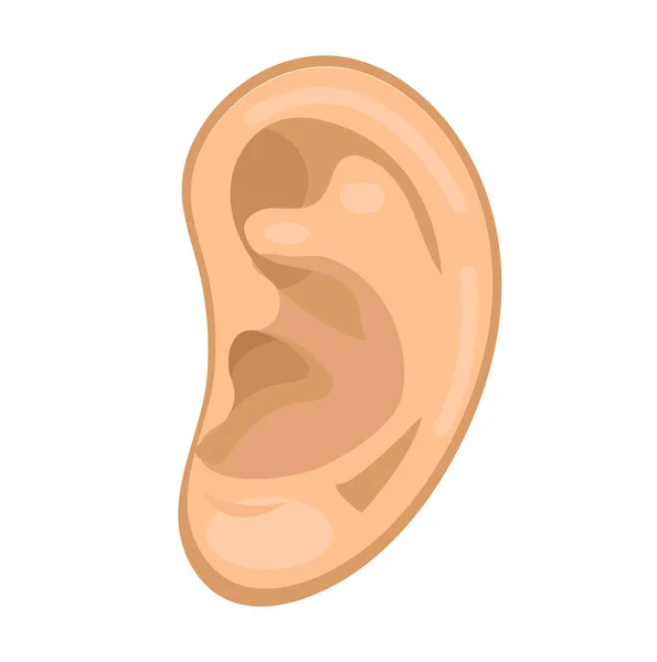 Ear icon flat style. 해부학, 의학 개념. 소리를 듣는다. 하얀 배경에 고립되어 있습니다. 벡터 일러스트. — 스톡 벡터