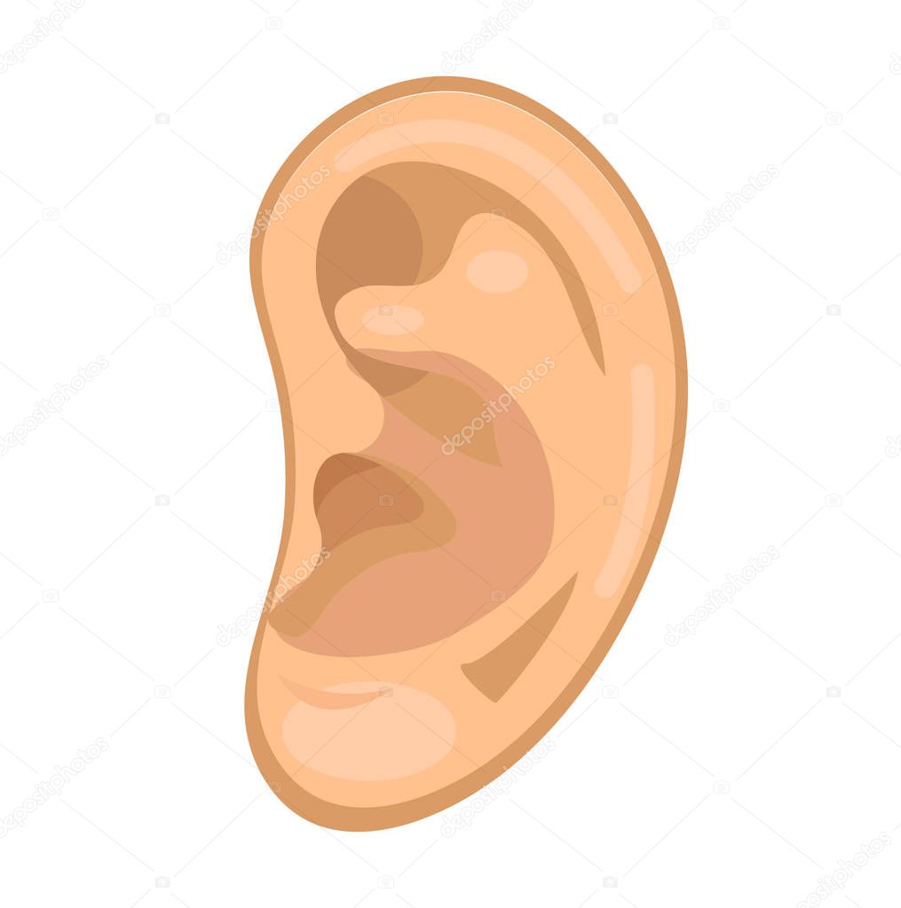Ear icon flat style. Anatomy, medicine concept. Hearing sound. Isolated on white background. Vector illustration