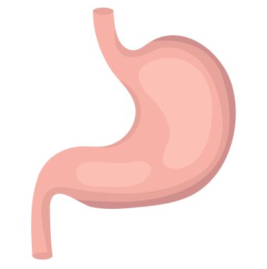 Mide simgesi, düz stil. İnsan tasarım öğesi, iç organların logo. Anatomi, tıp kavramı. Sindirim. Sindirim sistemi. Sağlık. Beyaz arka plan üzerinde izole. Vektör illustr.