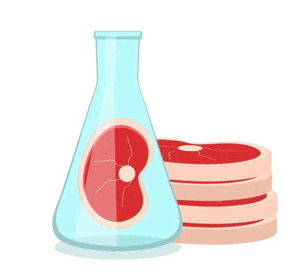 La carne sintética se cultiva en el laboratorio a partir de células madre. Producto cárnico artificial, tecnología alimentaria del futuro. Ilustración vectorial — Vector de stock