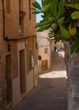 İspanya 'nın küçük bir köyünde