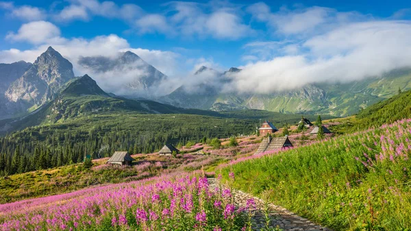 Tatrabergen landskap sommaren — Stockfoto