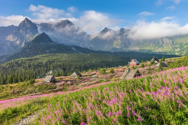 Tatrabergen landskap sommaren — Stockfoto