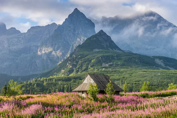 Tatrabergen landskap sommaren — Stockfoto