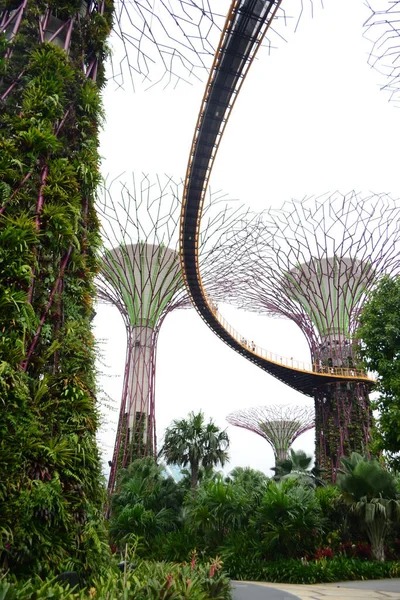 Garden Bay Singapore December 2018 Tourists Walking Artificial Trees Supertree — Stock Photo, Image