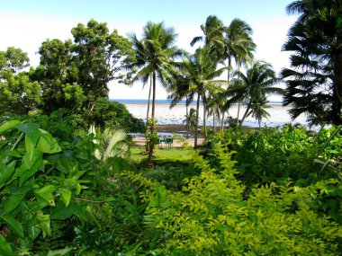 Ormandan Hint Okyanusuna Manzara