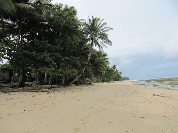 Una playa de arena con palmeras en Tailandia en un día soleado — Foto de Stock