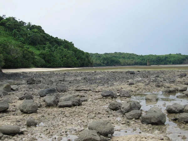 Kamenná pláž s palmami v Thajsku — Stock fotografie