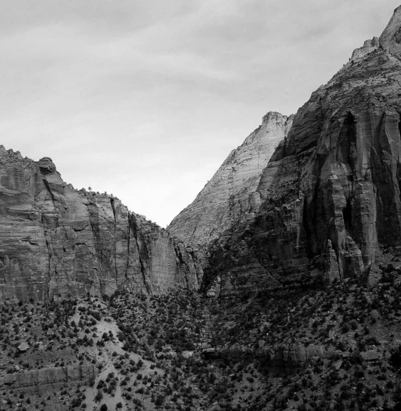 Parque Nacional Zion Como Uno Los Parques Nacionales Más Espectaculares —  Fotos de Stock