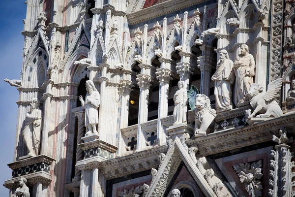 Siena katedra w Toskanii, Włochy — Zdjęcie stockowe