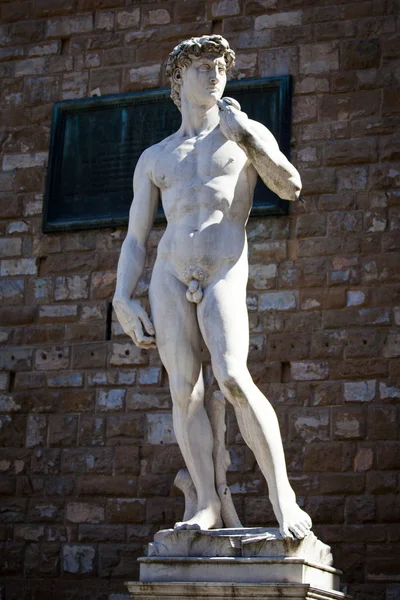 Copy of Michelangelo's David in Florence — Stock Photo, Image