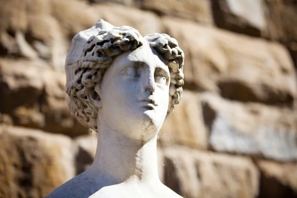 Copy of Michelangelo's David in Florence — Stock Photo, Image