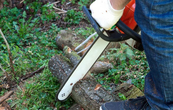 Man saws a tree — Stock Photo, Image