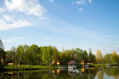 Manzara lake Forest'ta yansıma