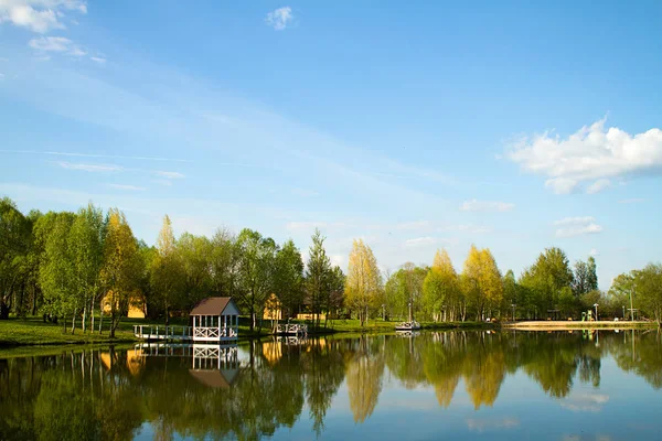 Manzara lake Forest'ta yansıma