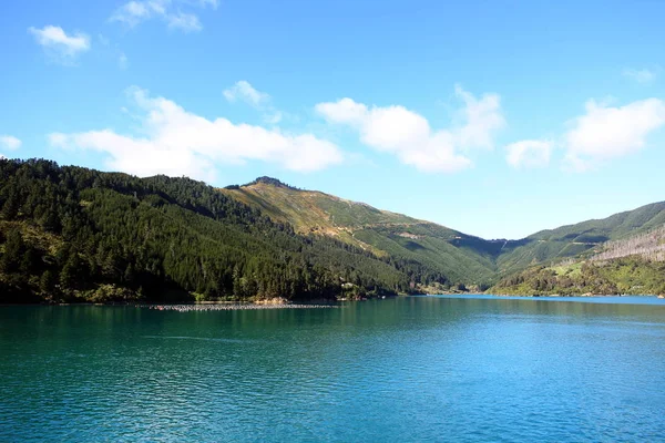 Picton 'dan Wellington' a feribota bindim.