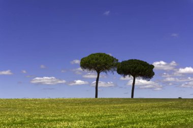 Güneşli bir günde güzel manzaralar..