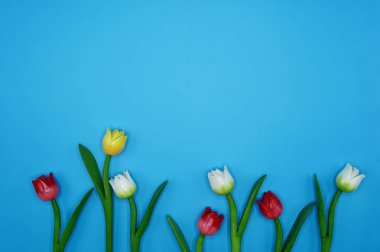 kırmızı, sarı ve beyaz ahşap çiçekler mavi arka planda yeşil yapraklar