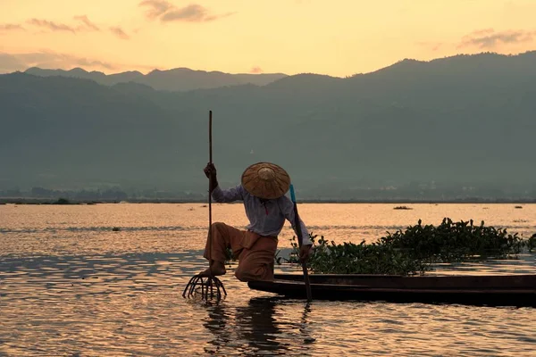 Un pescador en el barco usando el gallinero para atrapar peces en el lago Inle en la mañana, Myanmar — Foto de Stock