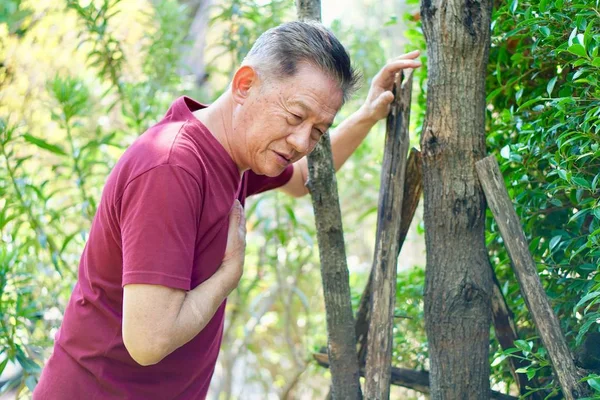 一位身穿红色T恤的亚裔老人站在花园里感到胸痛 — 图库照片