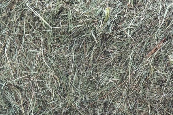 Grönt Gräs Rutan Bakgrund — Stockfoto
