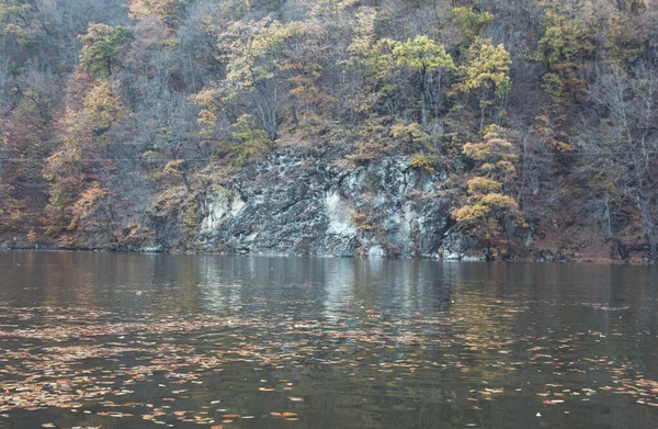 Foresta Autunnale Colorata Bella Con Lago — Foto Stock