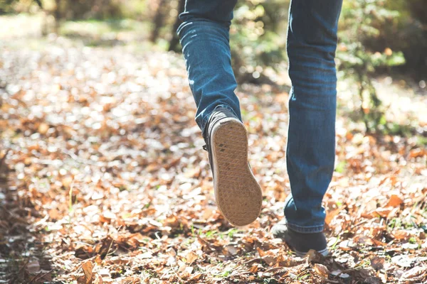 İnsan doğada sonbahar ormanlarında koşar.