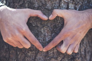 İnsan eli, ağaçta kalp işareti