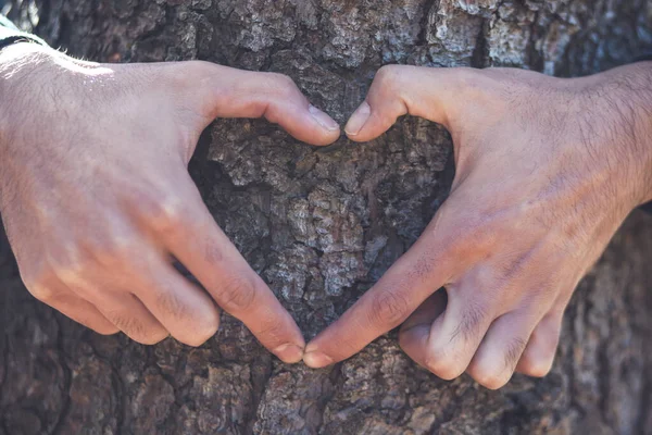 İnsan eli, ağaçta kalp işareti