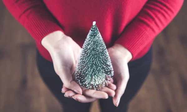 Γυναίκα Χέρι Εκμετάλλευση Μικρό Χριστουγεννιάτικο Δέντρο — Φωτογραφία Αρχείου