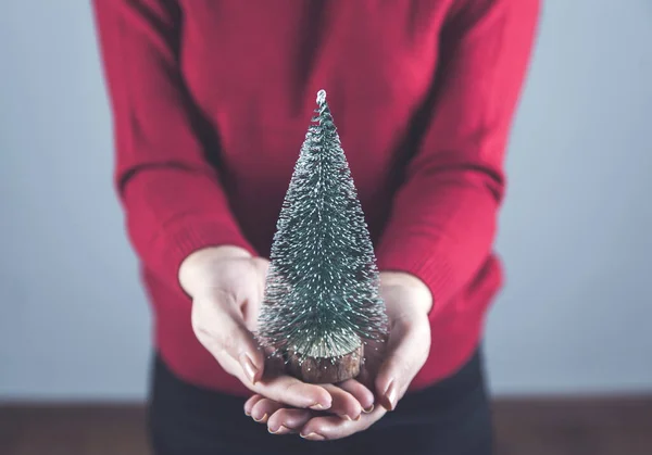 Γυναίκα Χέρι Εκμετάλλευση Μικρό Χριστουγεννιάτικο Δέντρο — Φωτογραφία Αρχείου