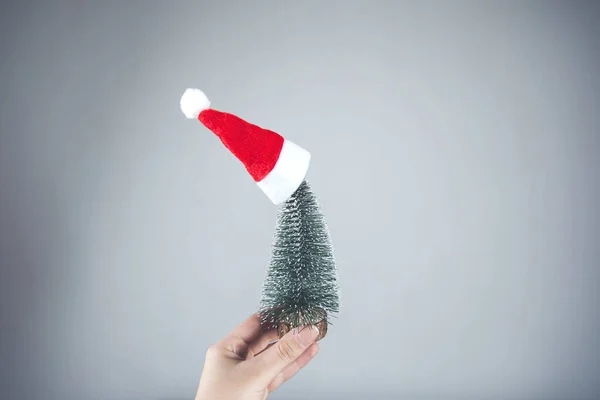 Mão Mulher Segurando Árvore Natal Fundo Parede Cinza — Fotografia de Stock