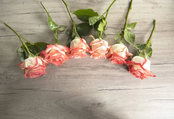 Рожеві Троянди Фоні Столу — стокове фото