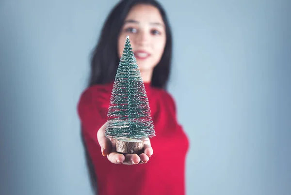 Mão Mulher Segurando Pequena Árvore Natal — Fotografia de Stock