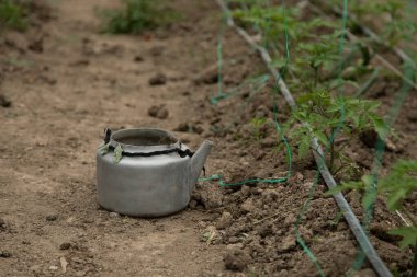 Serada çaydanlık yerde.