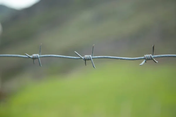 Taggtråd Grönt Landskap Bakgrund — Stockfoto