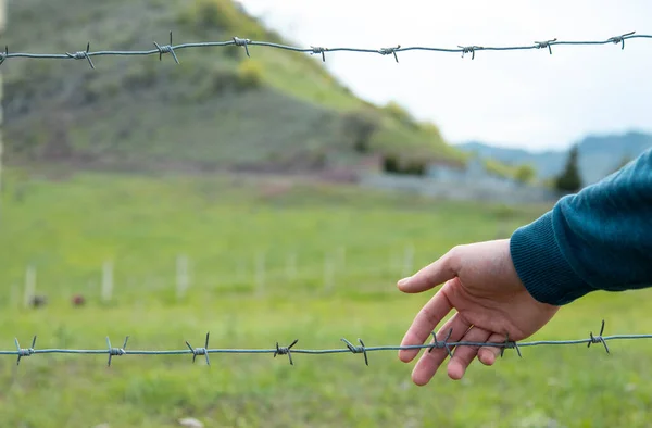 Mano Hombre Alambre Púas Fondo Del Paisaje —  Fotos de Stock