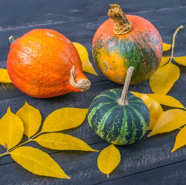 Citrouille parmi les feuilles jaunes d'automne sur une surface en bois — Photo