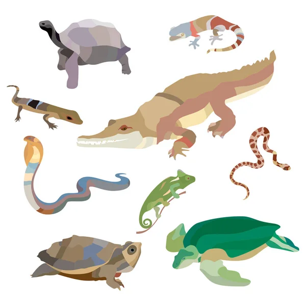 Conjunto decorativo de reptiles y anfibios de cobra cocodrilo tortuga caracol escorpión iconos de cangrejo en el estilo de dibujos animados ilustración vectorial aislado — Archivo Imágenes Vectoriales