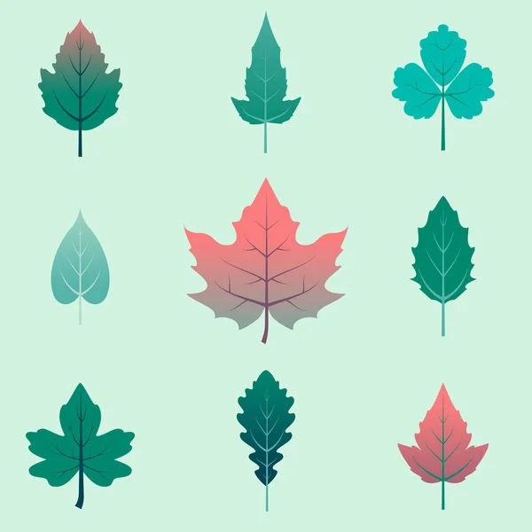 Conjunto de hojas de otoño, aislado sobre fondo blanco. simple estilo plano de dibujos animados, ilustración vectorial. — Vector de stock