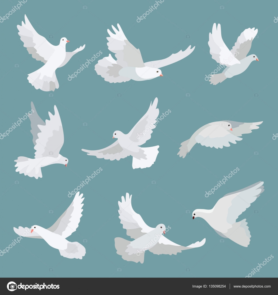 Set White Doves Peace Isolated On Background Vector Bird Illustration Vector Image By C Whilerests Vector Stock